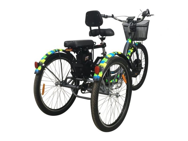 Электровелосипед трехколесный Horza Stels Trike Passenger 1000W 48V/30Ah Электровелосипед трехколесный Horza Stels Trike Passenger 1000W 48V/30Ah